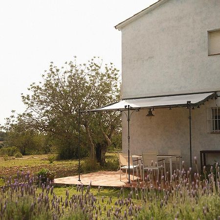 Masia Bartomeu Rural House Between Vineyards 2Km From The Beach El Vendrell Buitenkant foto
