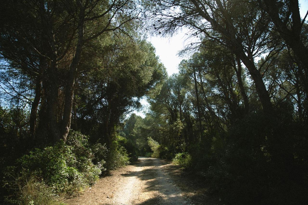Masia Bartomeu Rural House Between Vineyards 2Km From The Beach El Vendrell Buitenkant foto