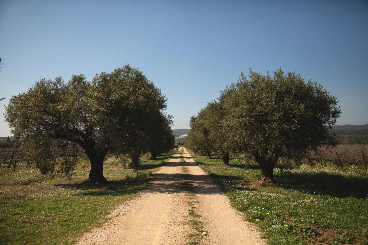Masia Bartomeu Rural House Between Vineyards 2Km From The Beach El Vendrell Buitenkant foto