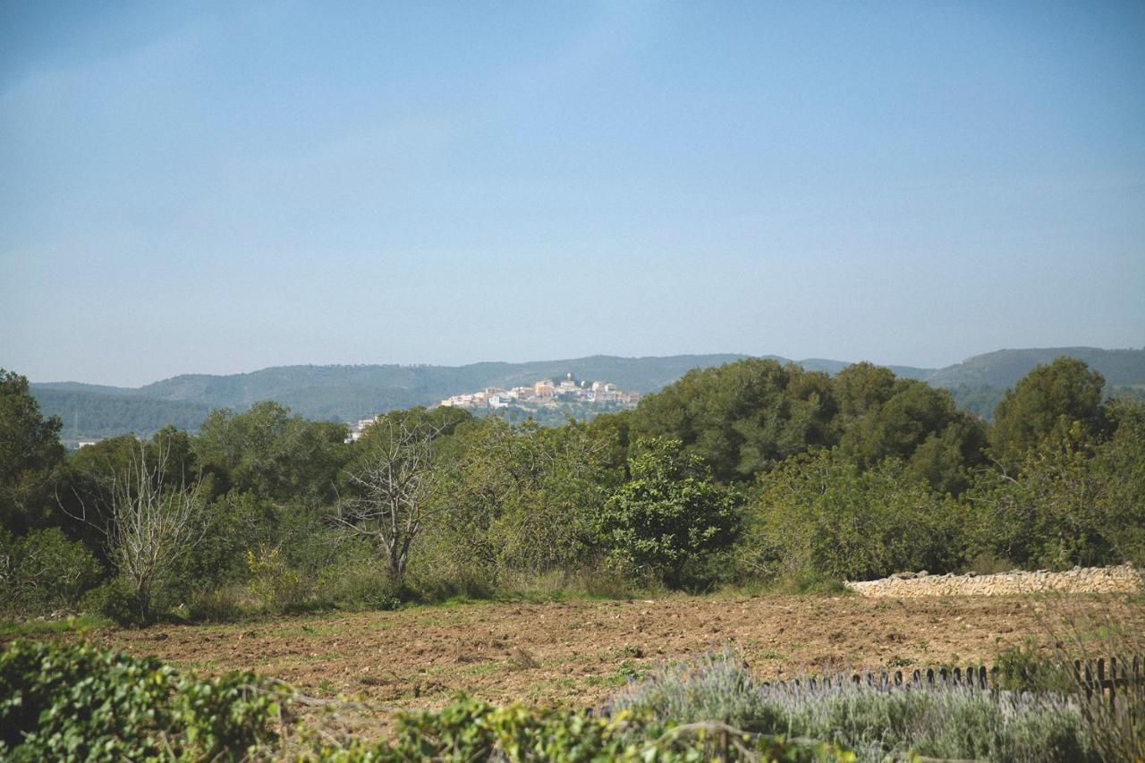 Masia Bartomeu Rural House Between Vineyards 2Km From The Beach El Vendrell Buitenkant foto