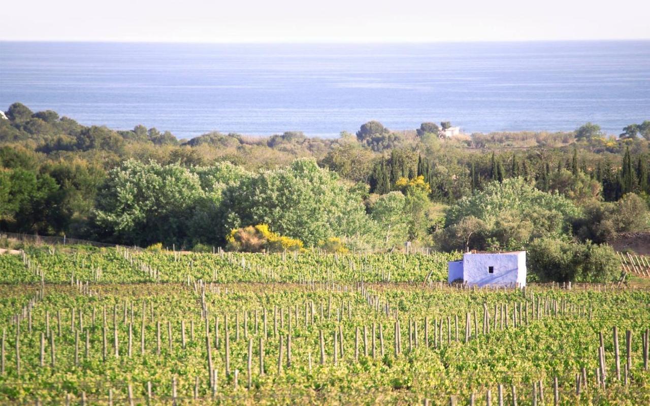 Masia Bartomeu Rural House Between Vineyards 2Km From The Beach El Vendrell Buitenkant foto